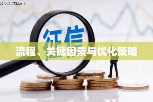 雷州流程、关键因素与优化策略