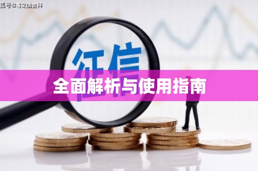 雷州全面解析与使用指南