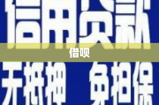 雷州借呗