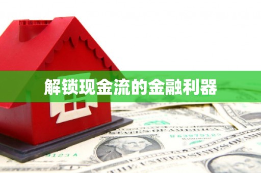 雷州解锁现金流的金融利器
