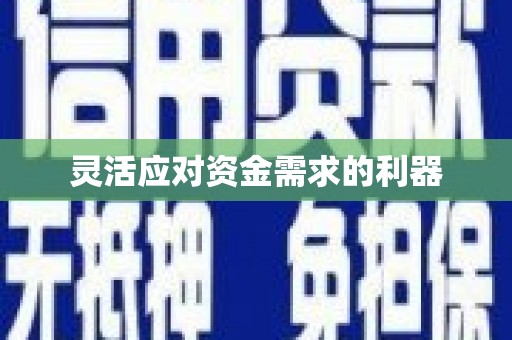 雷州灵活应对资金需求的利器