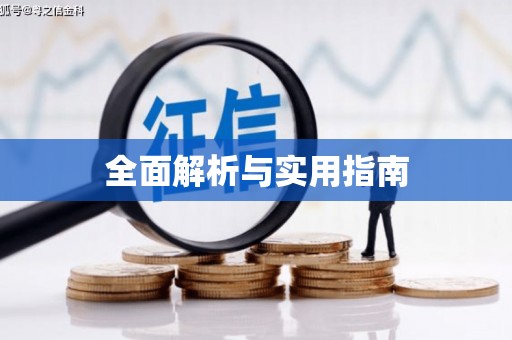 雷州全面解析与实用指南