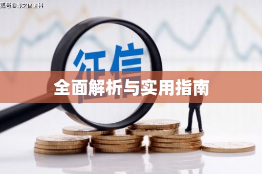 雷州全面解析与实用指南
