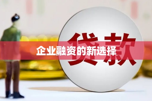 雷州企业融资的新选择