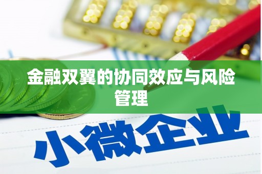 雷州金融双翼的协同效应与风险管理