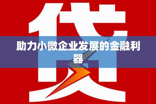 雷州助力小微企业发展的金融利器
