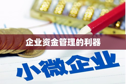 雷州企业资金管理的利器