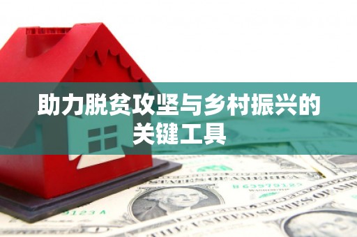雷州助力脱贫攻坚与乡村振兴的关键工具