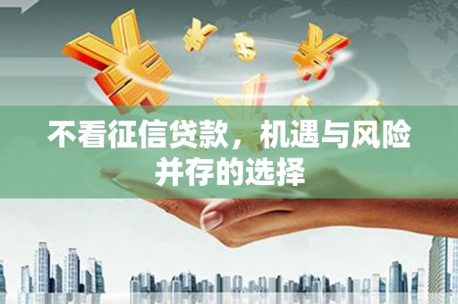 雷州不看征信贷款，机遇与风险并存的选择