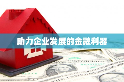雷州助力企业发展的金融利器