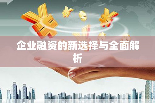 雷州企业融资的新选择与全面解析