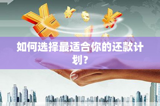 雷州如何选择最适合你的还款计划？