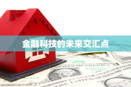 雷州金融科技的未来交汇点
