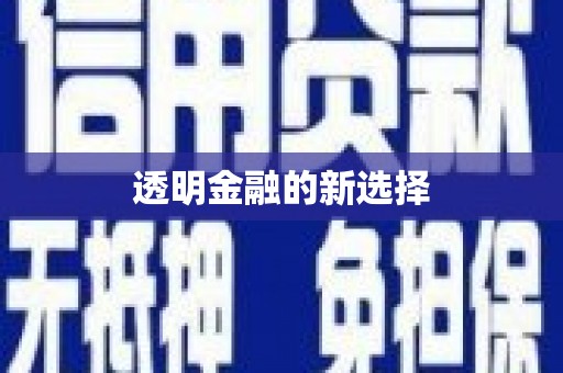 雷州透明金融的新选择