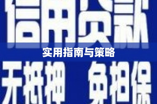 雷州实用指南与策略