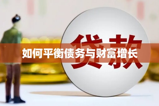 雷州如何平衡债务与财富增长