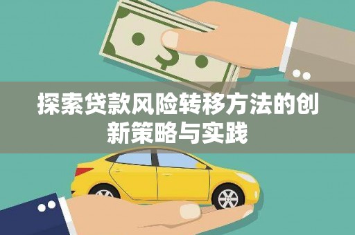雷州探索贷款风险转移方法的创新策略与实践