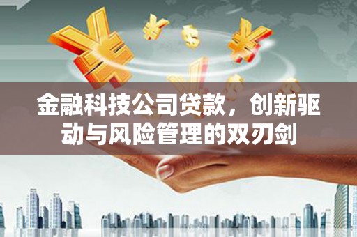 雷州金融科技公司贷款，创新驱动与风险管理的双刃剑